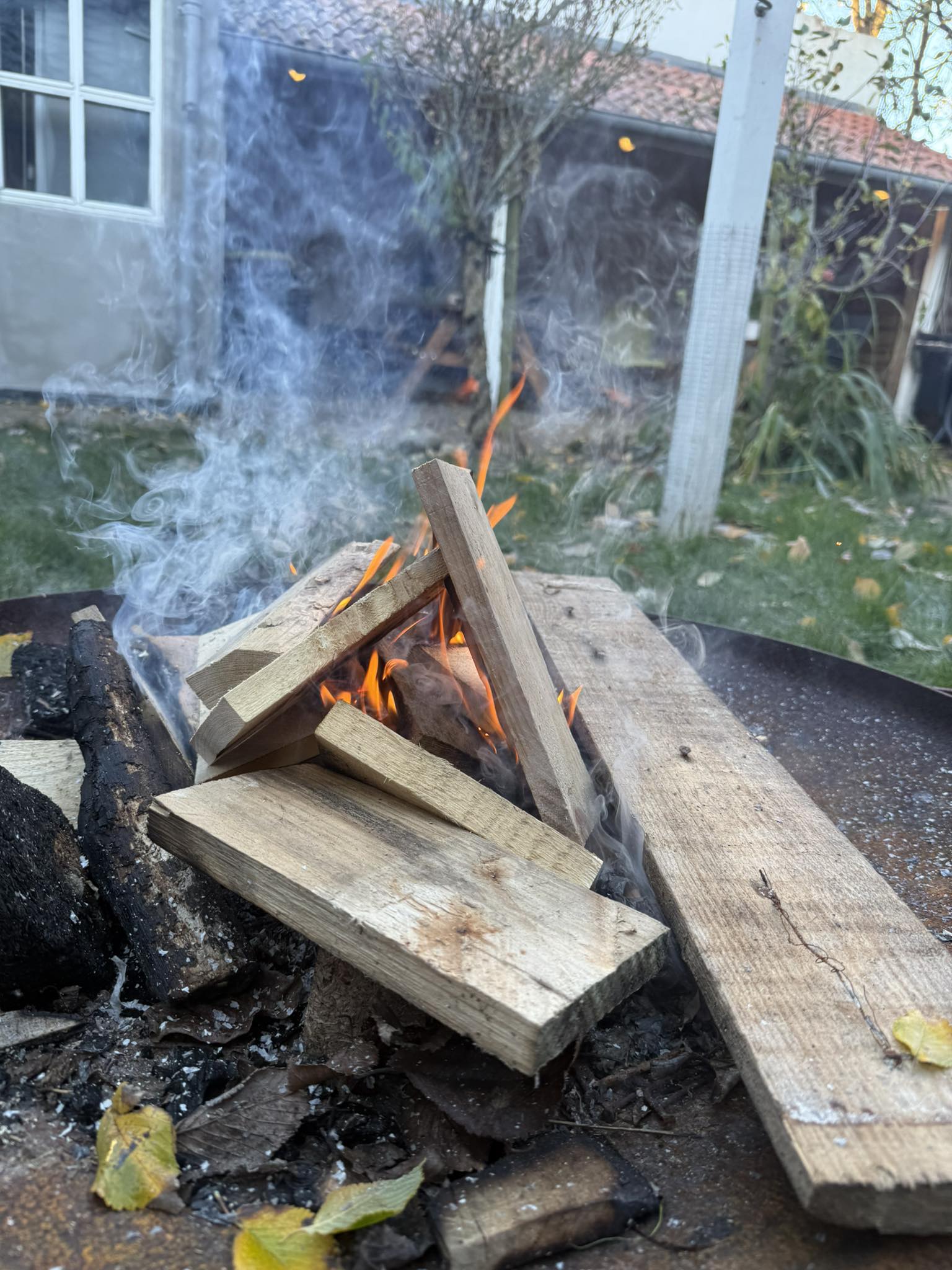 Rådgivning og hjælp